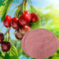 acerola extract acerola cherry powder vitamin c