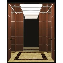 Modern Design Commercial Building Elevator