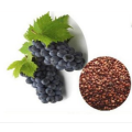 Grape seeds extract cas 84929-27-1