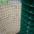 Galvanized and PVC Coated Welded Wire Mesh Rolls