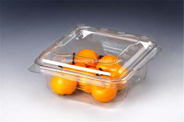 disposable plastic fruit tray