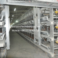 Nouvelle conception Low Price H Type Battery Layer Cages