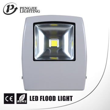 Luz de inundación caliente de la venta 10W LED con CE y RoHS (PJ1070)