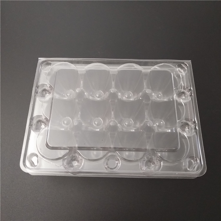 clear 12 pack quail egg boxes