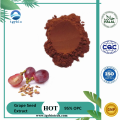 Supply High Quality Grape Seed Extract 95% OPC