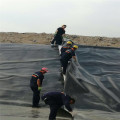 HDPE Geomembrane Liner Price for Farm Water Tank