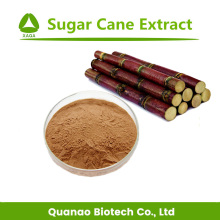 Sugar Cane Extract 10:1 Sugar Cane Juice Powder