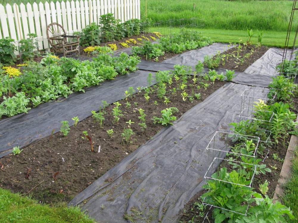 Garden weed mat