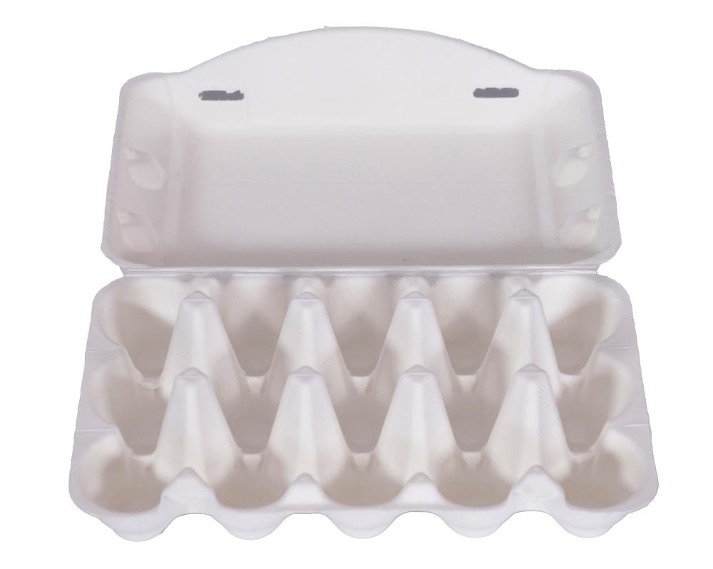 Pulp egg carton01 Pulp egg carton01