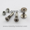 Titanium Connect Screw