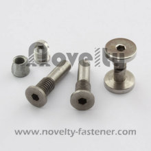 Titanium Connect Screw