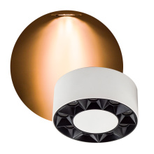 Anti-Glare Spot Light Round Mount Led Light Down Light