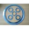 SS304 Metal Spiral Wound Gasket