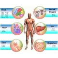 analyseur innovant de santé corporelle quantique à bio-résonateur 3d nls