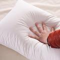 Wholesale Cheap Polyester/ Hollow Fiber Filling Pillow