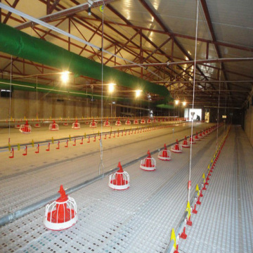 Environmental Controlled Chicken Raise Equipments