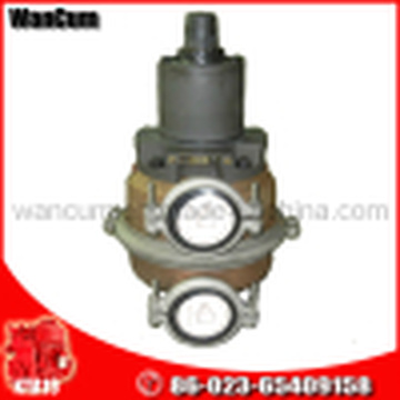 Dongfeng Diesel Engine Water Pump for Mine Truck