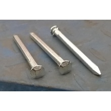 Electro Galvanized Square Nails