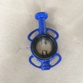 Lug Type Butterfly Valve-Gg25 Body