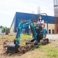 Envío gratis 1ton Mini Excavator 10Pro