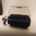 Seeds tanaman Germinator keep warmer Box