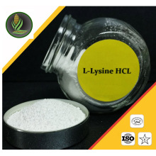 Почетное предложение поставщика L-лизин гидрохлорид