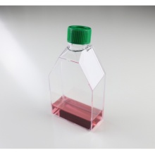 Lab Cell Culture Flasks 250ml