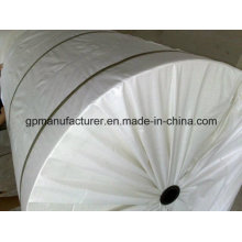 Factory Produce Polyesterr Mat for Bitumen Waterproof Membranes