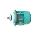 AC electric motor for hoist lifting crane