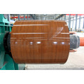 Prepainted galvanized steel sheet in coil