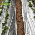 Agrilcture mulch film silver mulch