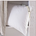 75 % duvet haute qualité oreillers luxueux Canasin canard du