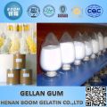 Popular Food additive organic low/high acyl Gellan gum