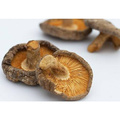 High Grade Organic Dried Mushroom