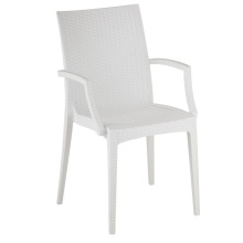 Modern Rattan Design Chair with Arm