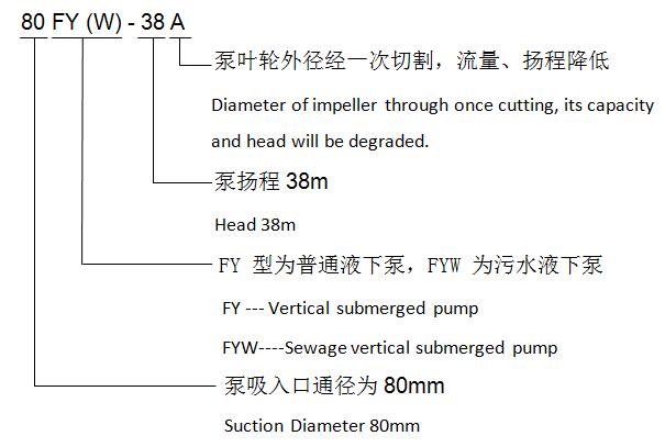 Vertical Sump Pump