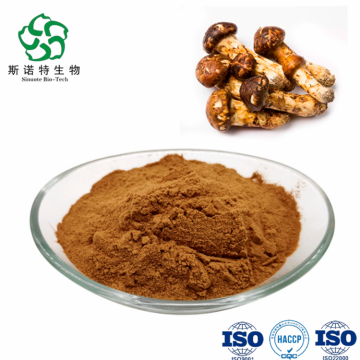 Tricholoma Matsutake Mushroom Extract Polysaccharides Powder