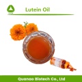 Marigold Flower Extract Lutein Oil liquid 20% Softgel