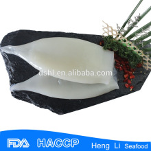 Frozen round squid aquatic product