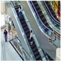 600mm 0.5m / S Électronique électrique à bas prix Électrique Escalator