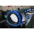 PTFE Disc Double Flanged Butterfly Valve with Ce ISO Approved