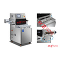 Vertical Modified Atmosphere Packaging Machine (RS380P)