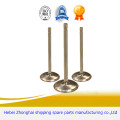 Quality Engine Parts for VOLKSWAGEN Engine Valve