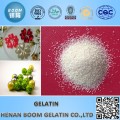 sale halal hydrolyzed gelatin powder