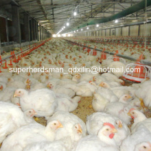 High Quality Full Set Poultry Equipment for Poultry Farming House