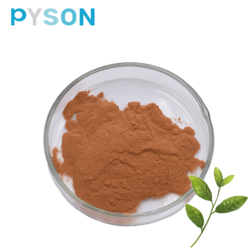 Antioxidans Grüntee-Extrakt Tee-Polyphenole 95% UV