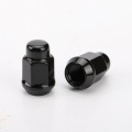 Black Wheel tire Lug Nuts