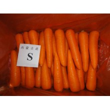 6,5 кг картонной упаковки свежей моркови для Дубая ДЖЕБЕЛ АЛИ