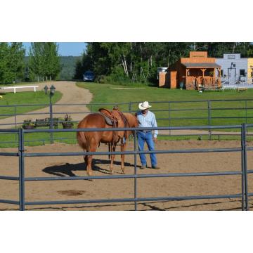 tubo de acero galvanizado utilizado cercas de caballos para la venta