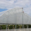 Tunnel Tropical Plastic Film Production Greenhouse